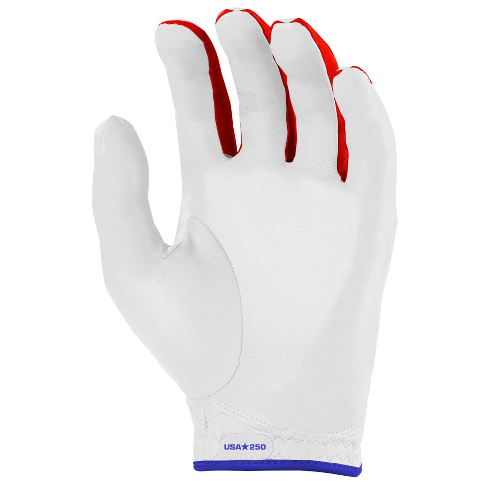 bear-series-golf-gloves-on-left-2-pack-usa-250-golf-gloves-bruce-bolt-972141.jpg
